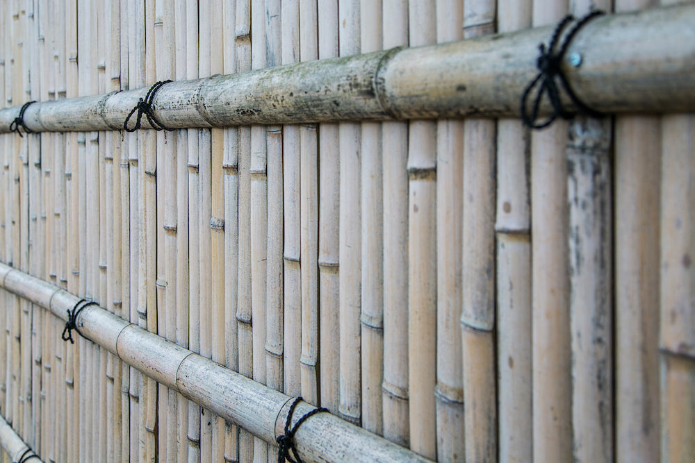 Green and Serene: Discover the Sustainable Elegance of Bamboo Fencing