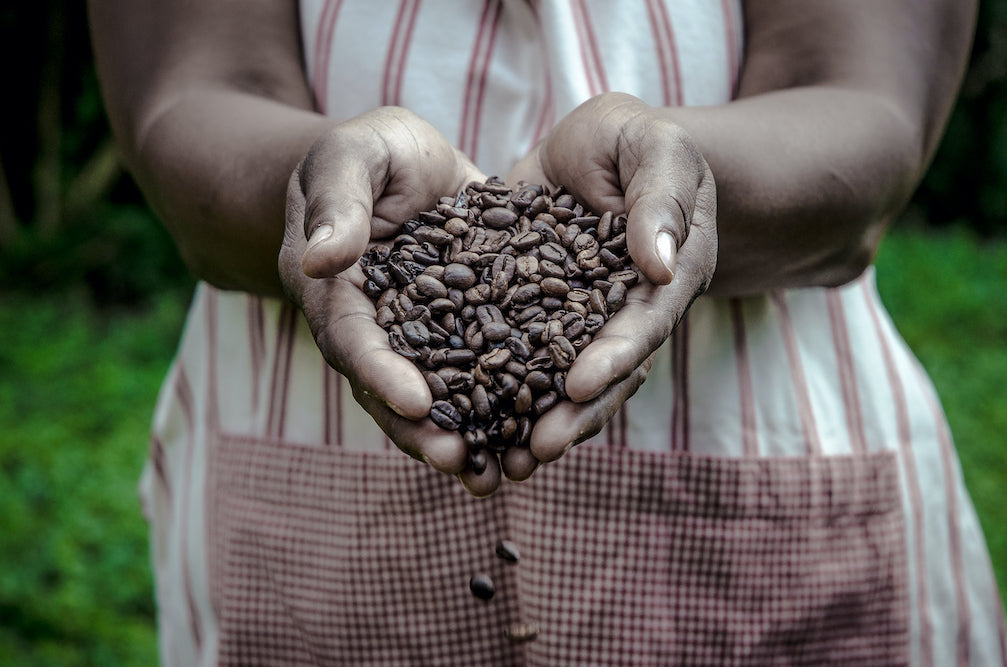 Green Mountain Coffee Roasters: Sourcing Sustainable and Ethical Coffee