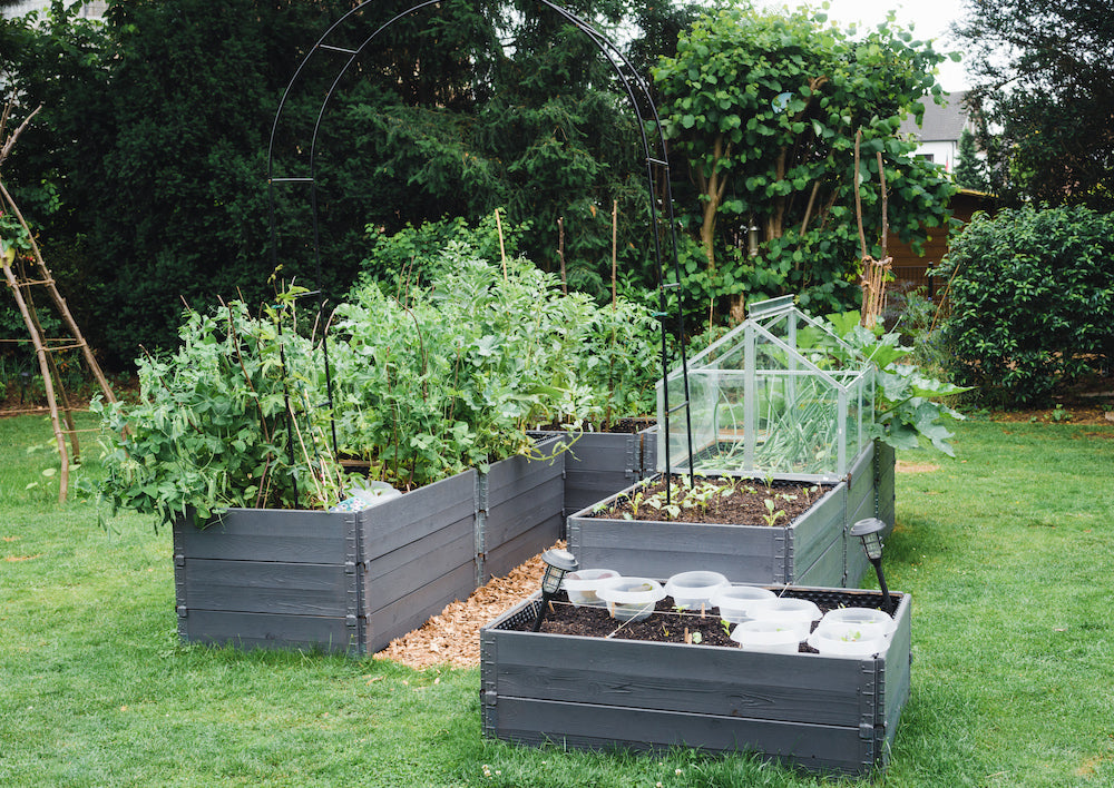 Building Raised Garden Beds: A Step-by-Step Guide to Constructing Your Own