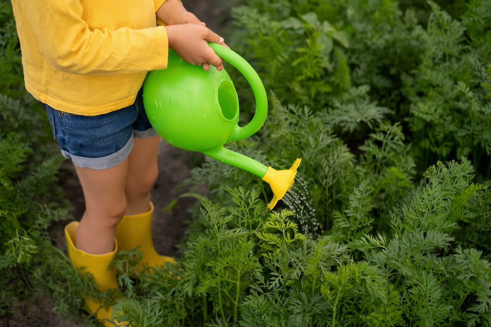 Green Toys: Eco-Friendly Toys that are Safe, Sustainable, and Fun!