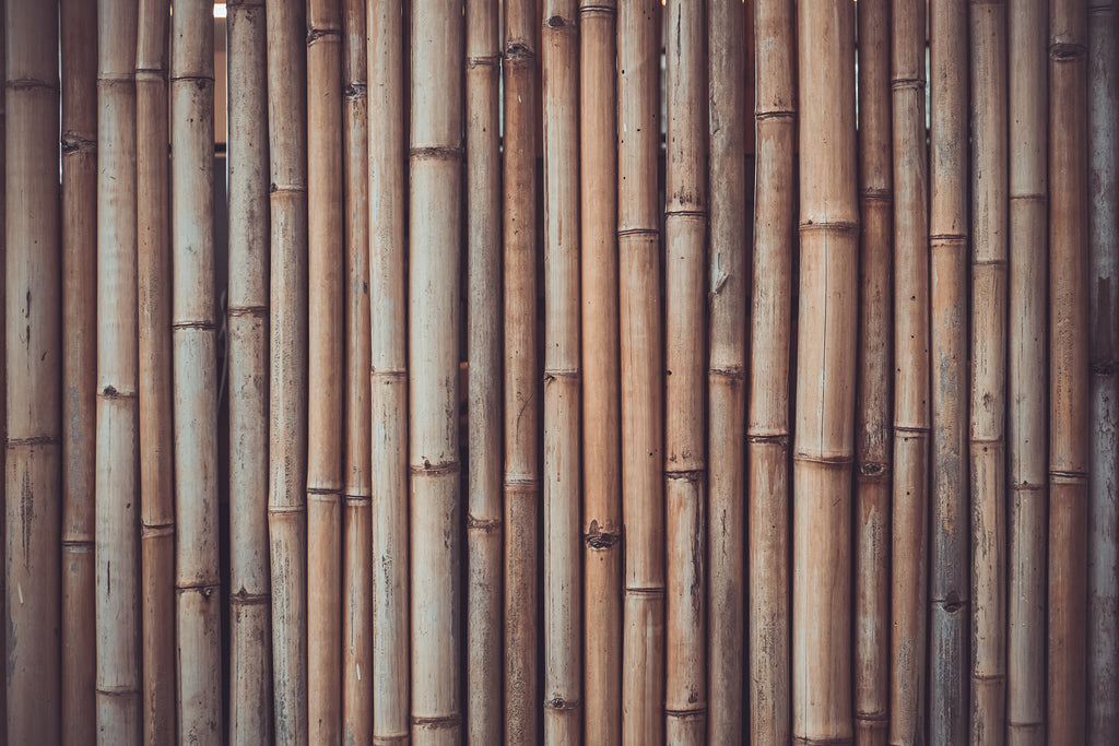 Everything You Need to Know About Bamboo: Sustainability, Uses, and Disposal