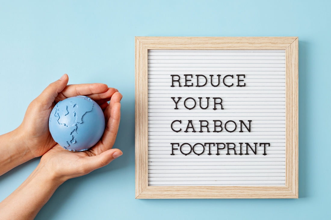 Sustainable Living: How to Reduce Your Carbon Footprint and Help the Environment