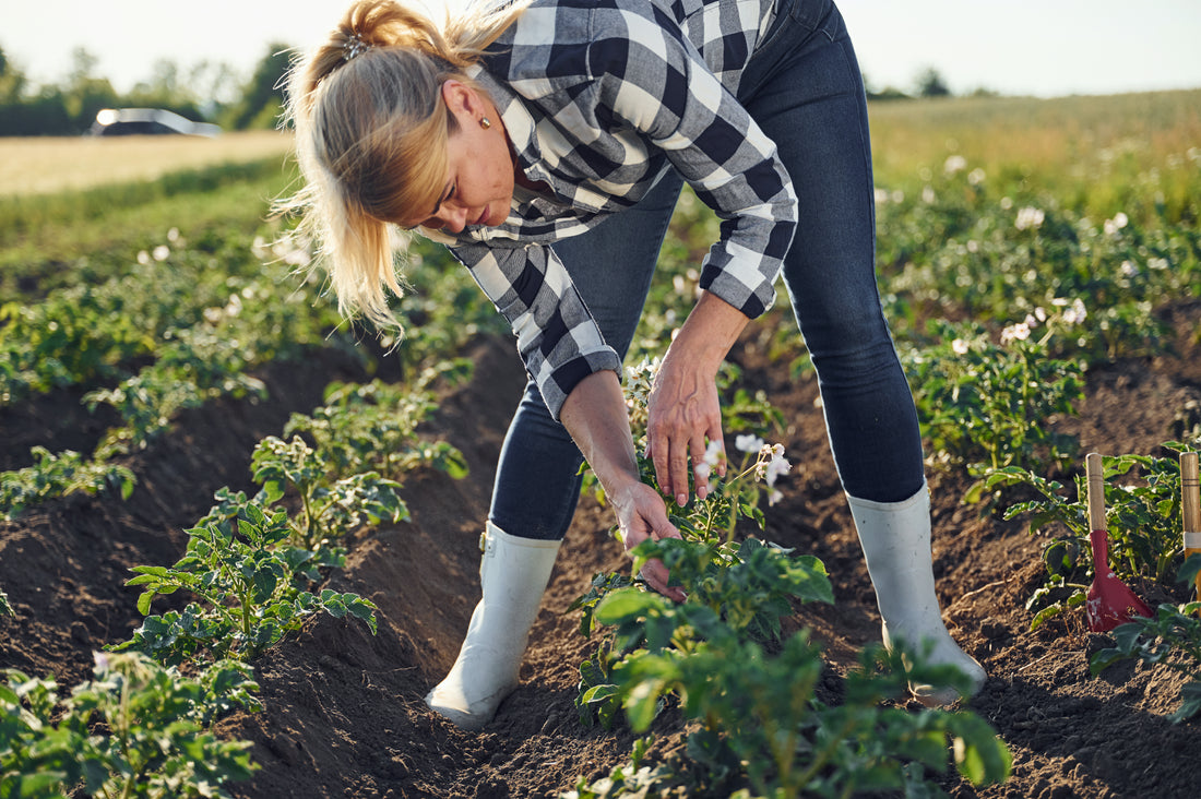 How Food and Agricultural Startups are Leading the Way with Sustainable Solutions