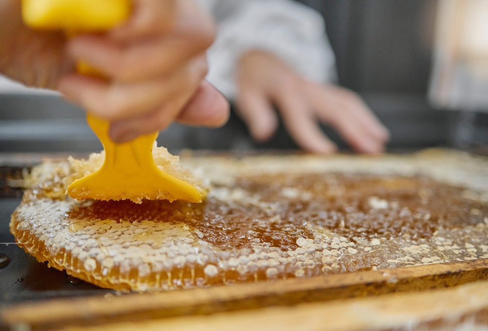 Person scrapping beeswax off honeycomb