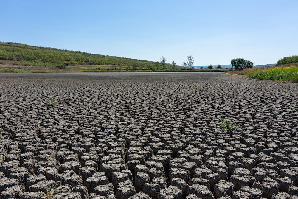 Drought land with dried cracked earth