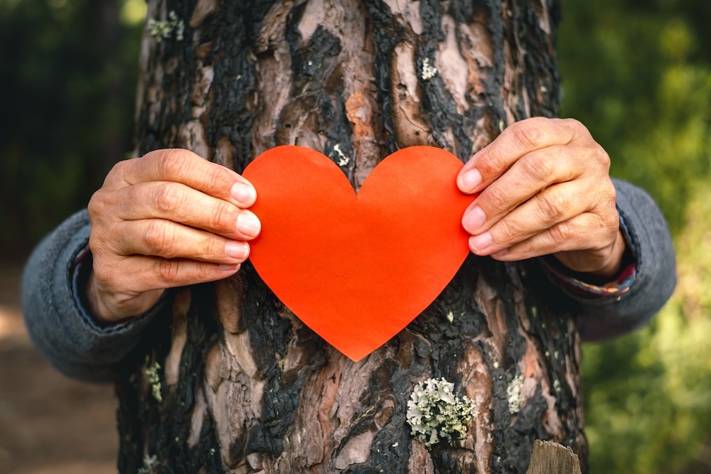 Hands around a tree holding a red heart