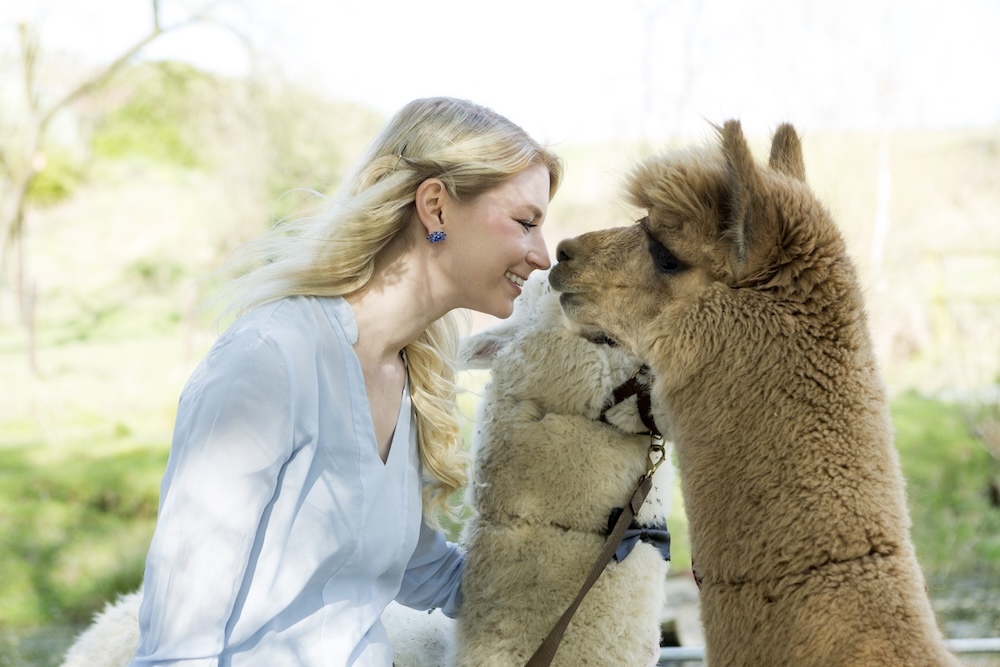 Woman cuddling with alpacas