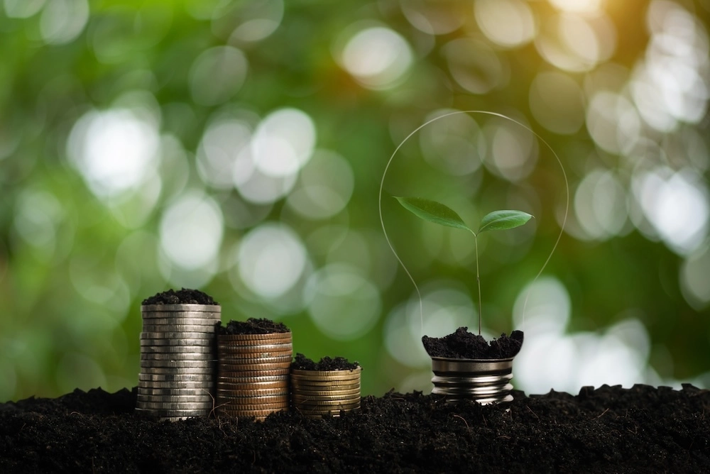 Stacked coins with a plant growing inside a lightbulb