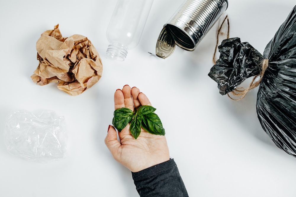 Zero waste and waste management with a plant growing