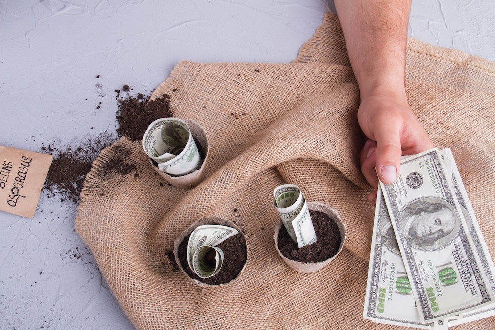 Person planting dollars in soil for growth