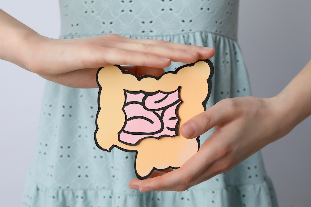 Concept of gut health with intestines and organs