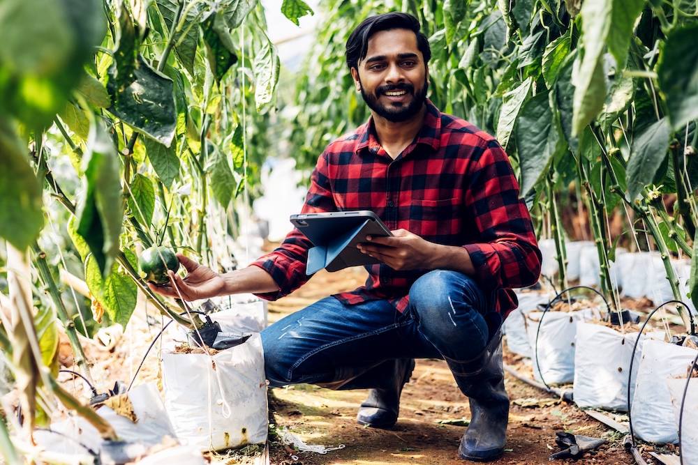 Farmer using technology to measure food quality