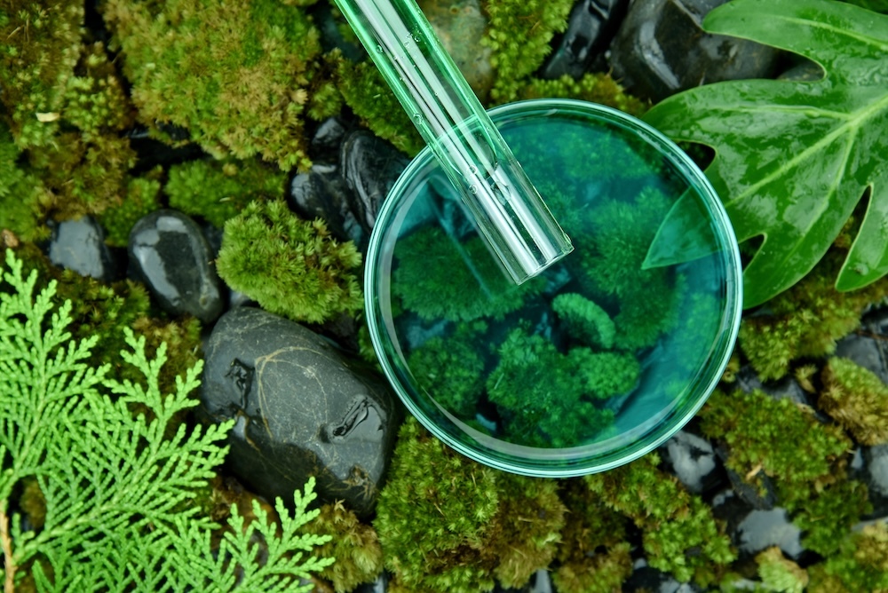 Scientist testing organic essence in a petri dish