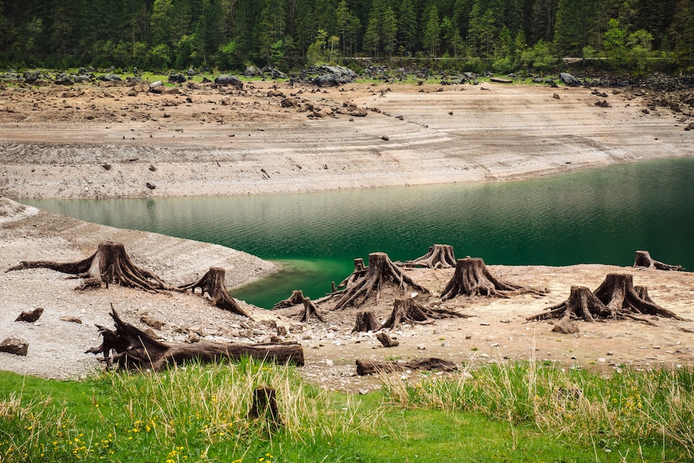 Trees cut down near lakeside