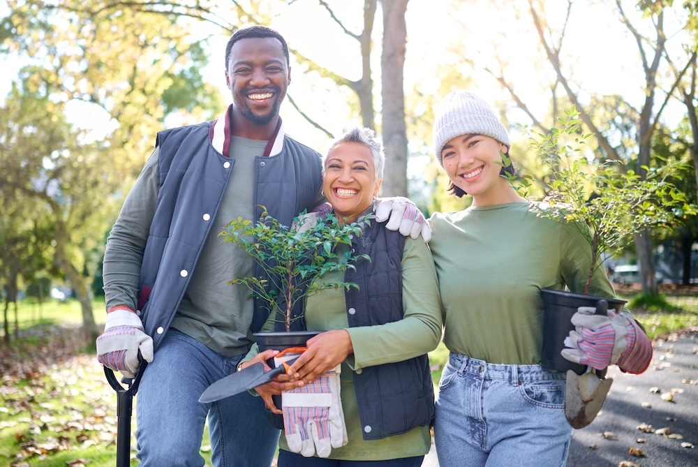 Community getting together and planting trees