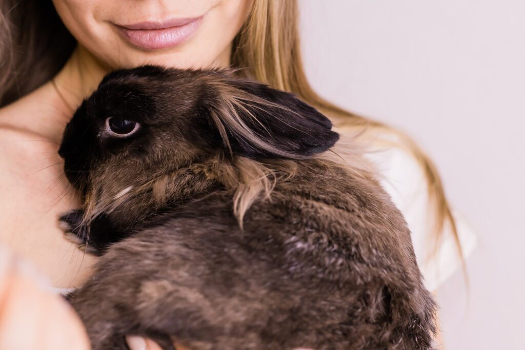 Cruelty-Free: More Than a Bunny Logo