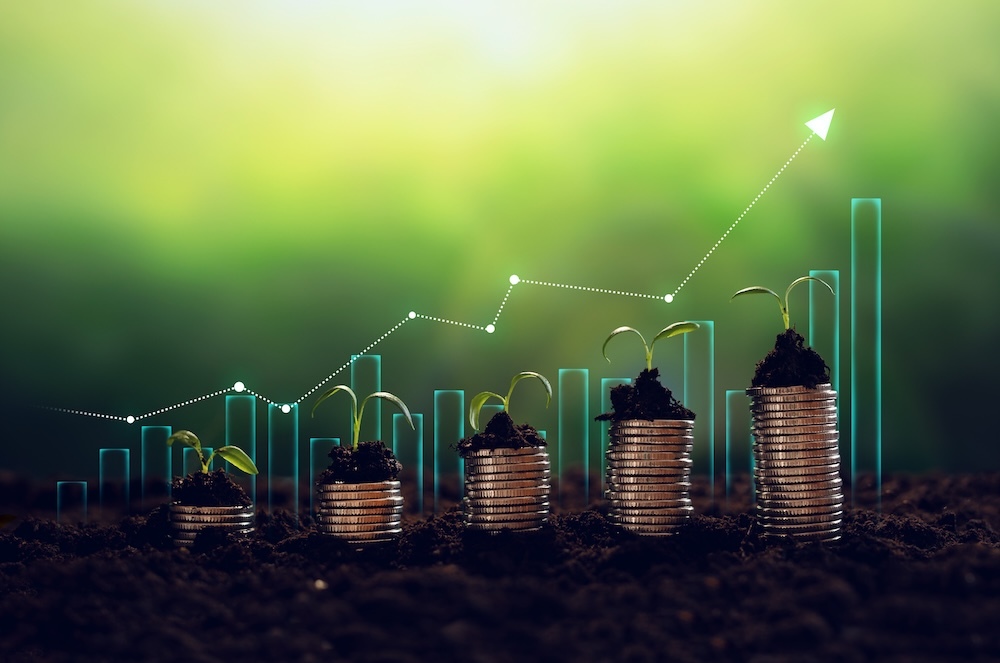 financially investing in sustainability