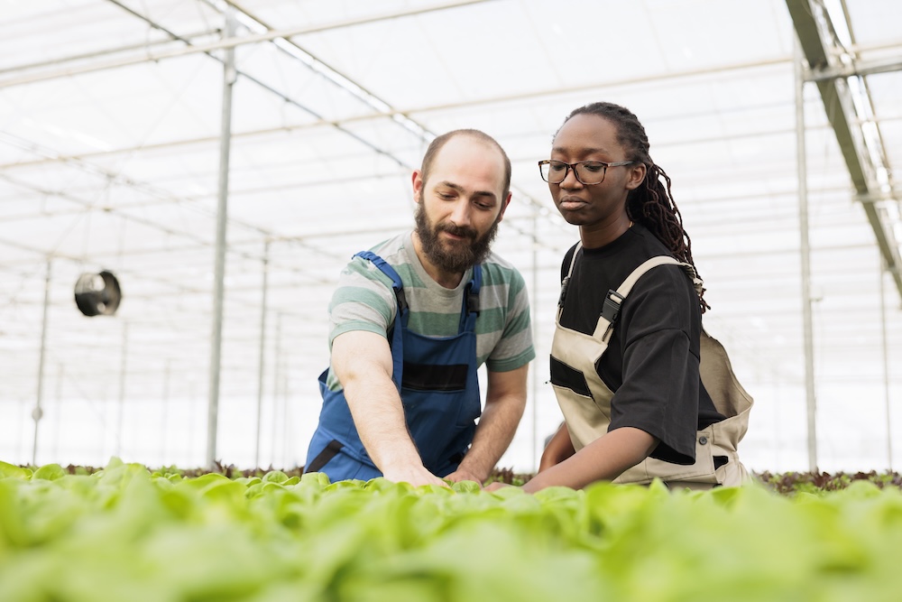 sustainable agriculture and diversity