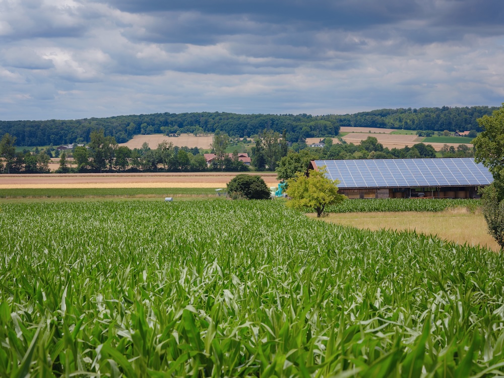 rural cornfield far away from amenities and the city