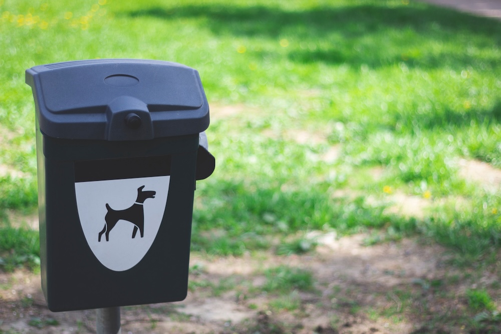 dog trash bin to put dog waste inside at the park