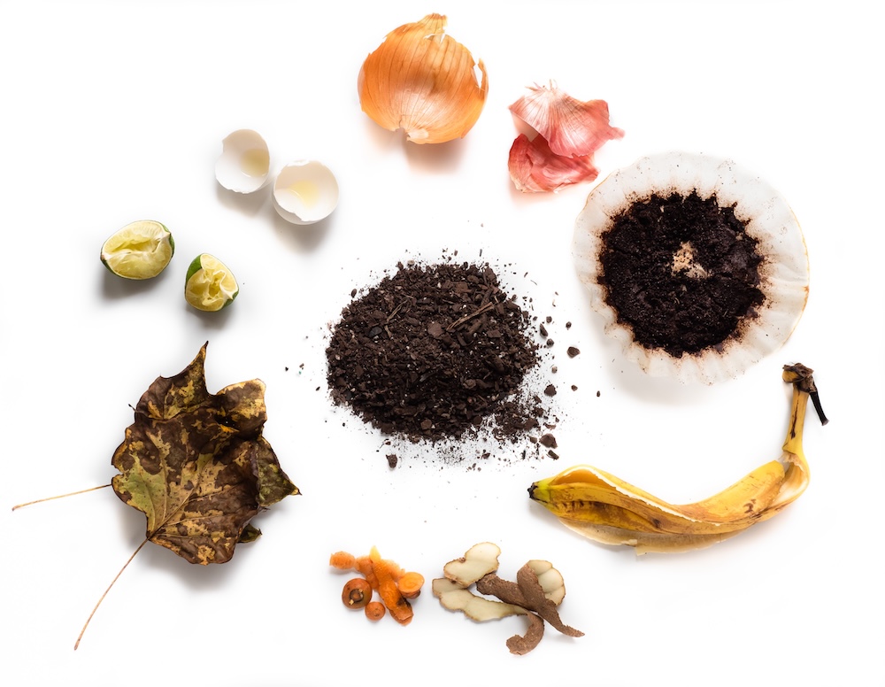 balancing compost with different types of compostables