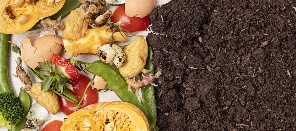 compost fruit and vegetables on left side and rich composted soil on the right