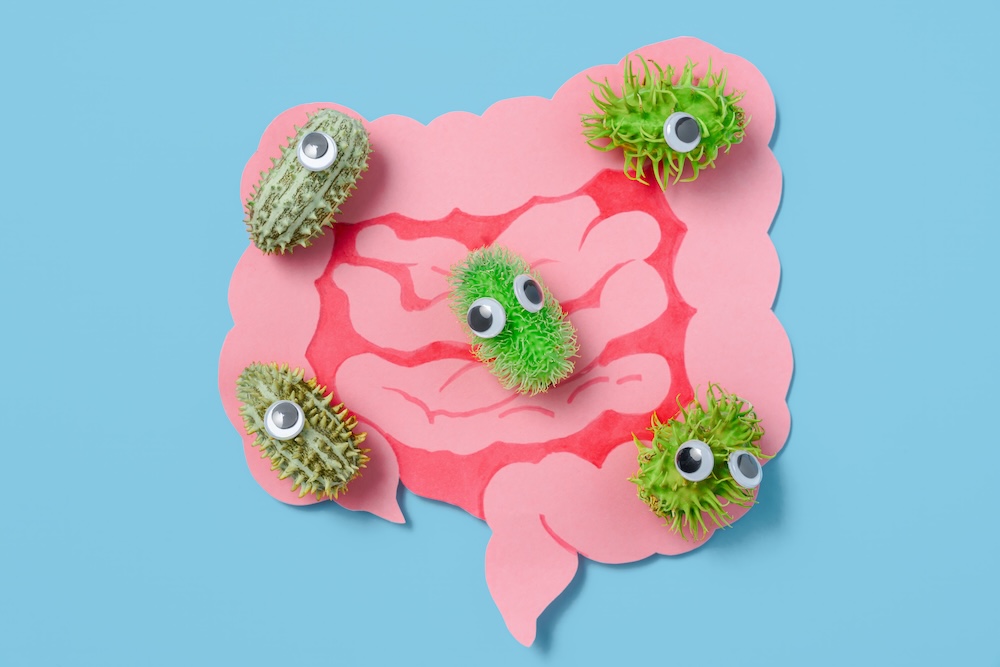 microbes in and around the stomach and intestines