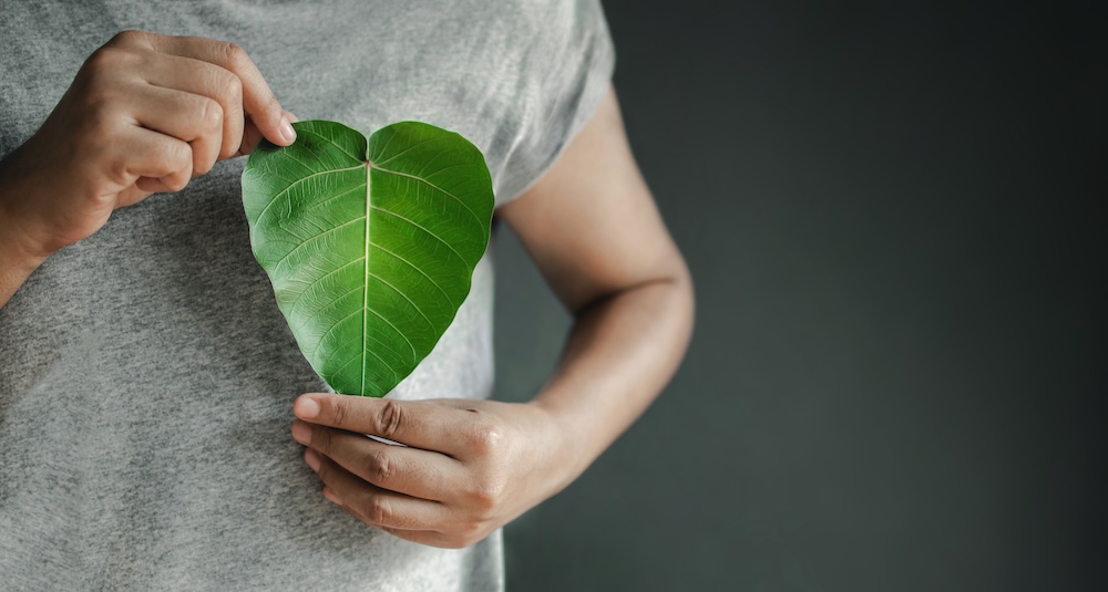 person holding a leaf in shape of a heart