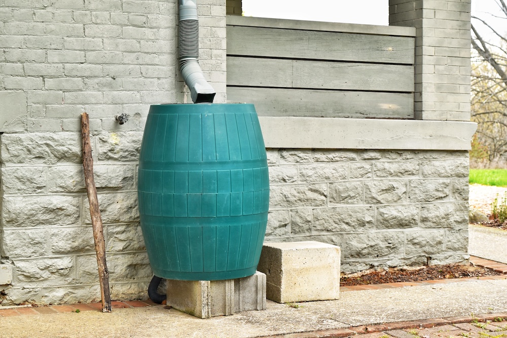plastic rain barrel catching water for reuse