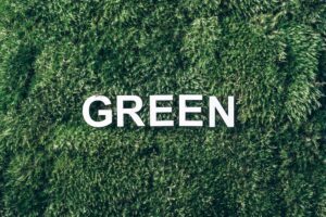 the word green spelled out on a grassy background