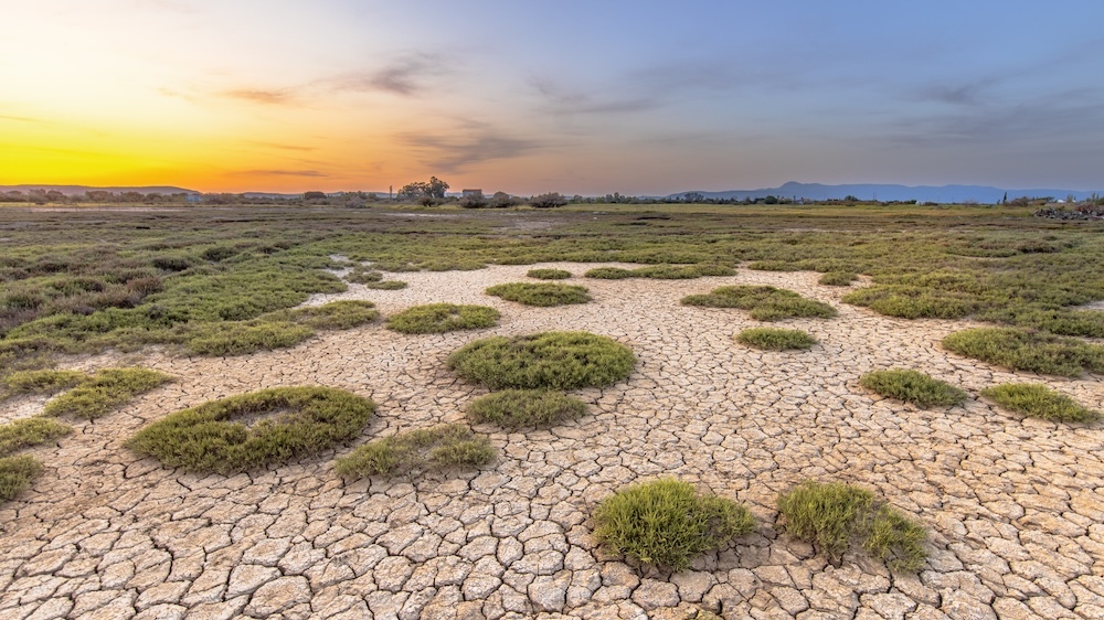 sunrise in a drought area with patches of green