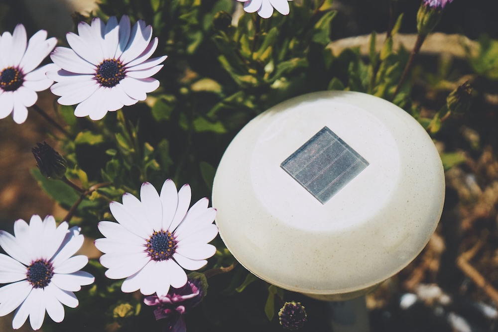 solar powered garden light with flowers
