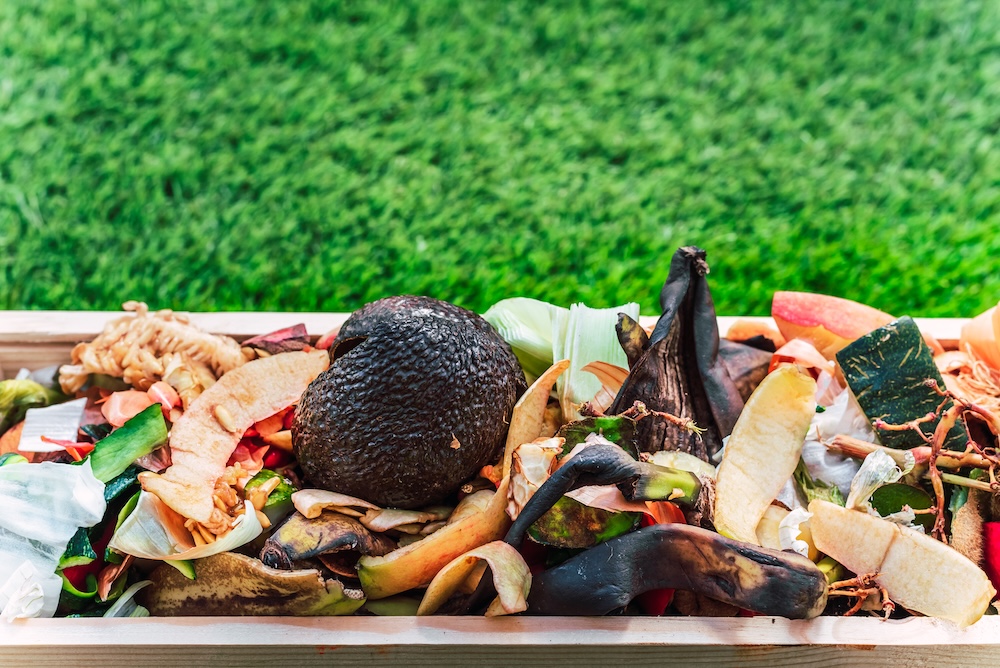 fruits and vegetables in a compost bin