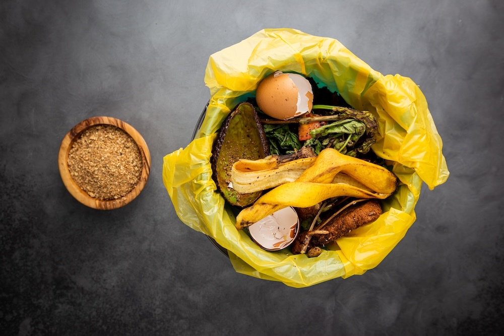 container with organic waste for composting