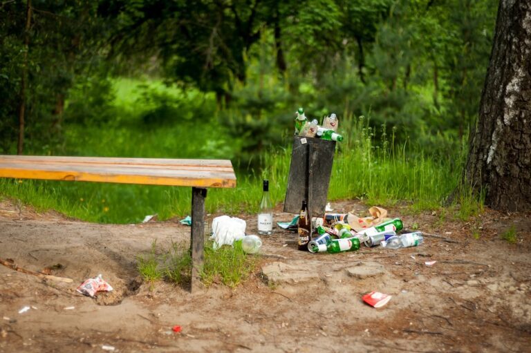 garbage overflowing a trash can in nature