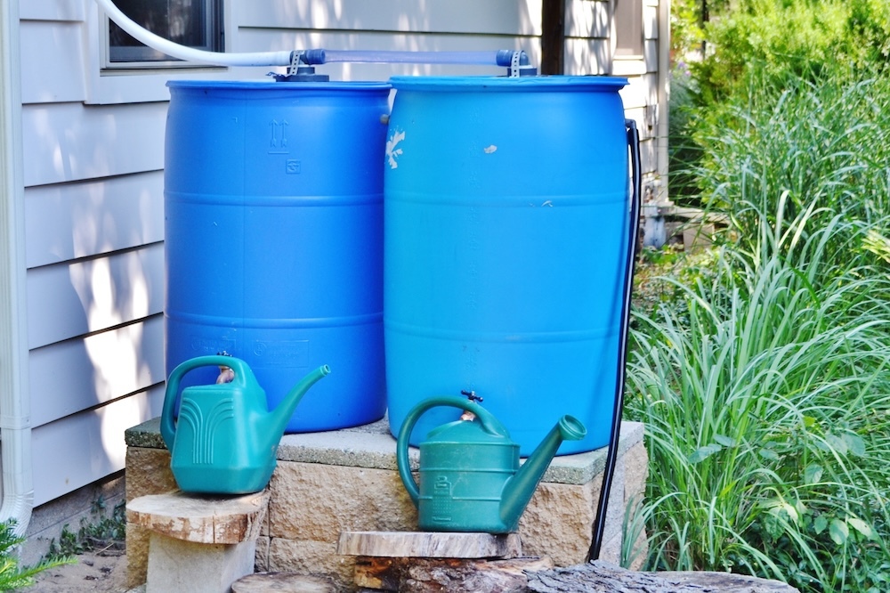 rain barrels to catch emergency water at home