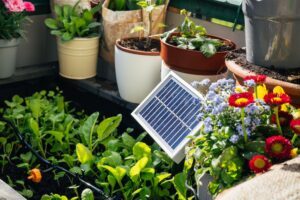 Solar powered device in between potted plants