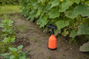 natural bug sprays for plants and gardens