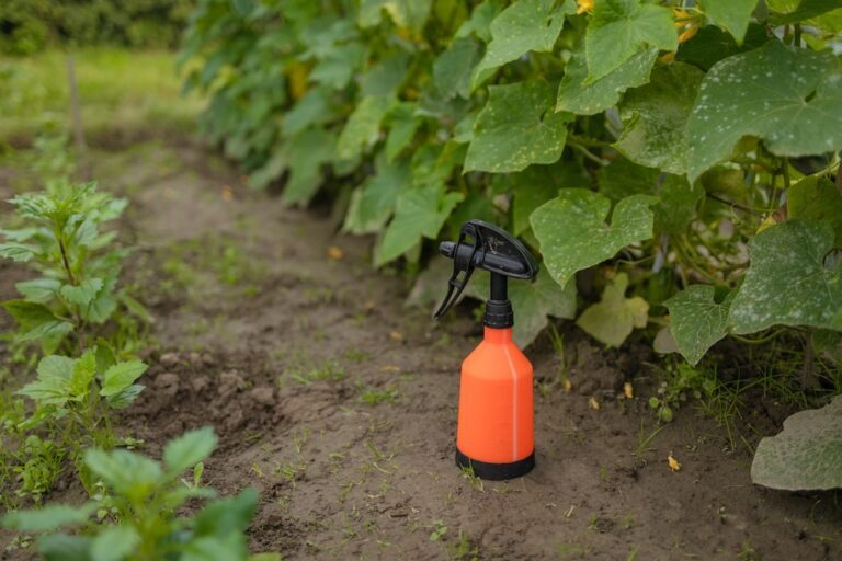 natural bug sprays for plants and gardens