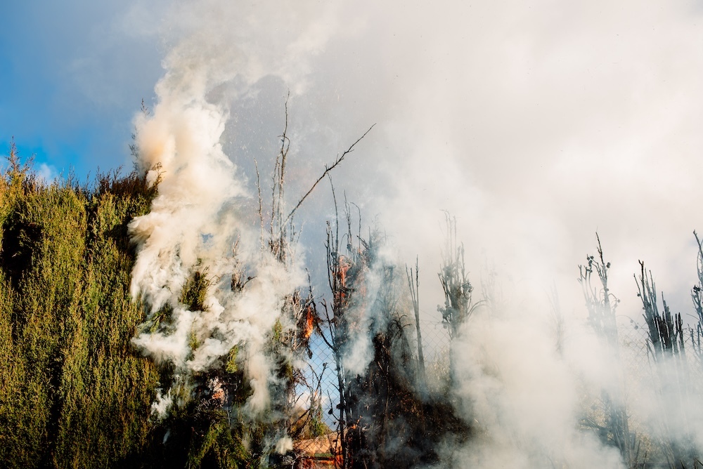 wildfire with heavy smoke going into the air