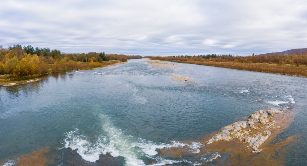 river with colorful trees on either side