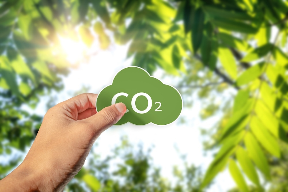 hand holding a co2 cloud shape with tree leaves in the backgorund