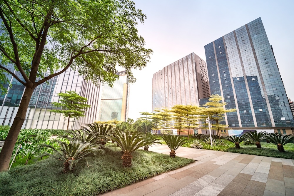green plants and foliage around a tall bank