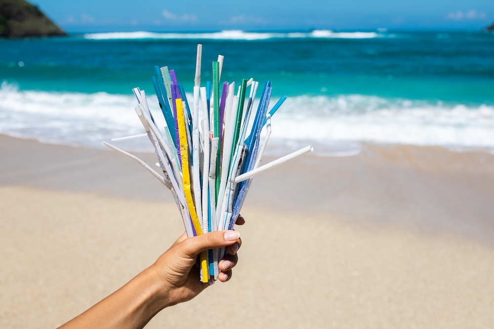 Person's handing holding a bunch of straws on the beach