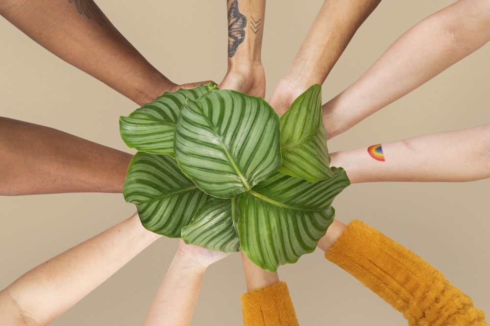 hands all cupping a plant to save the planet