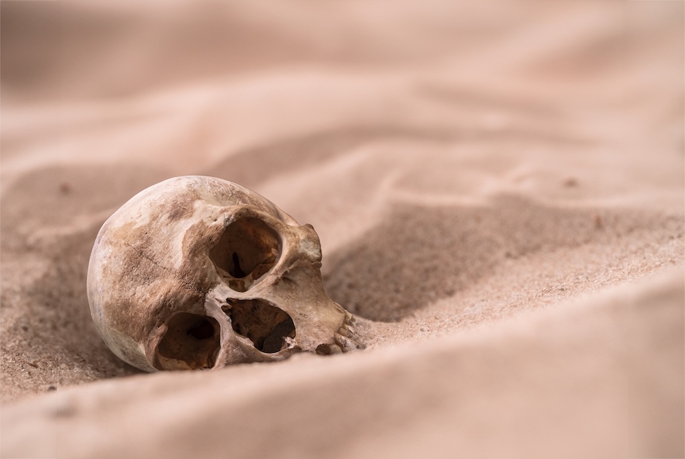 human skull in the dry desert sand