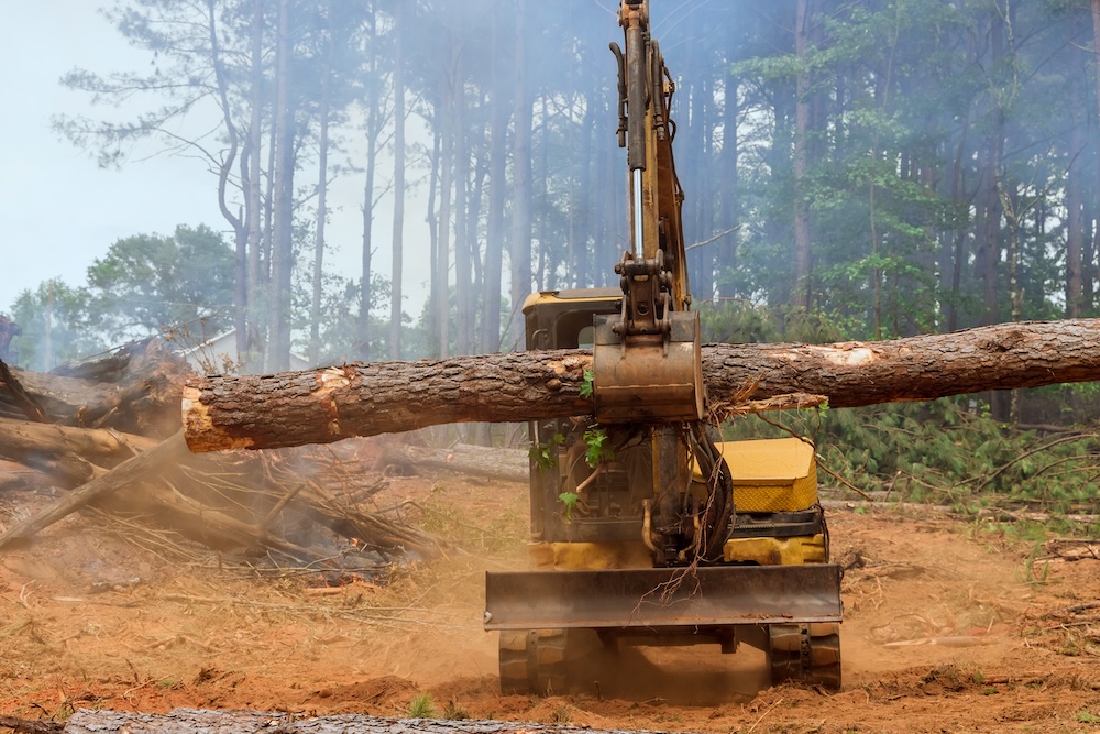 tractor removing trees due to deforestation