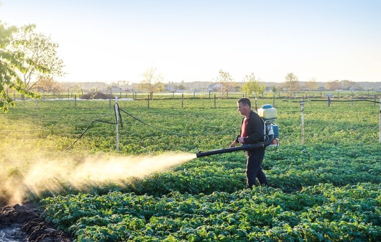 man spraying insecticide on farm