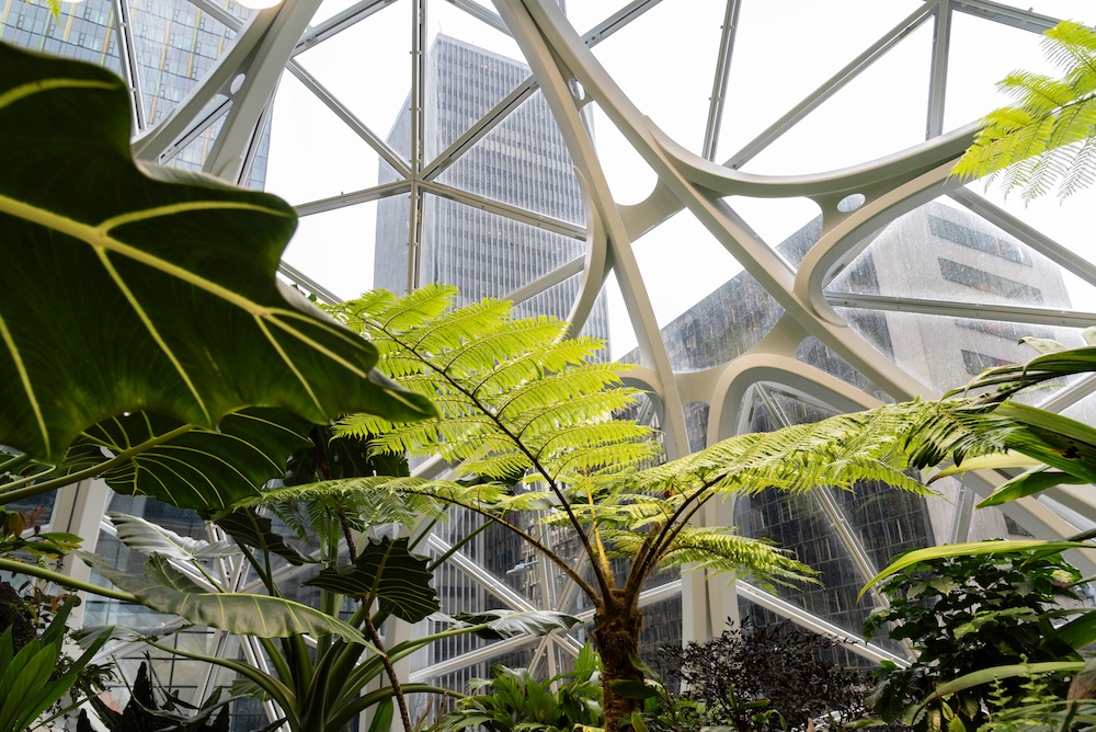 Biophilic building with plants in a city
