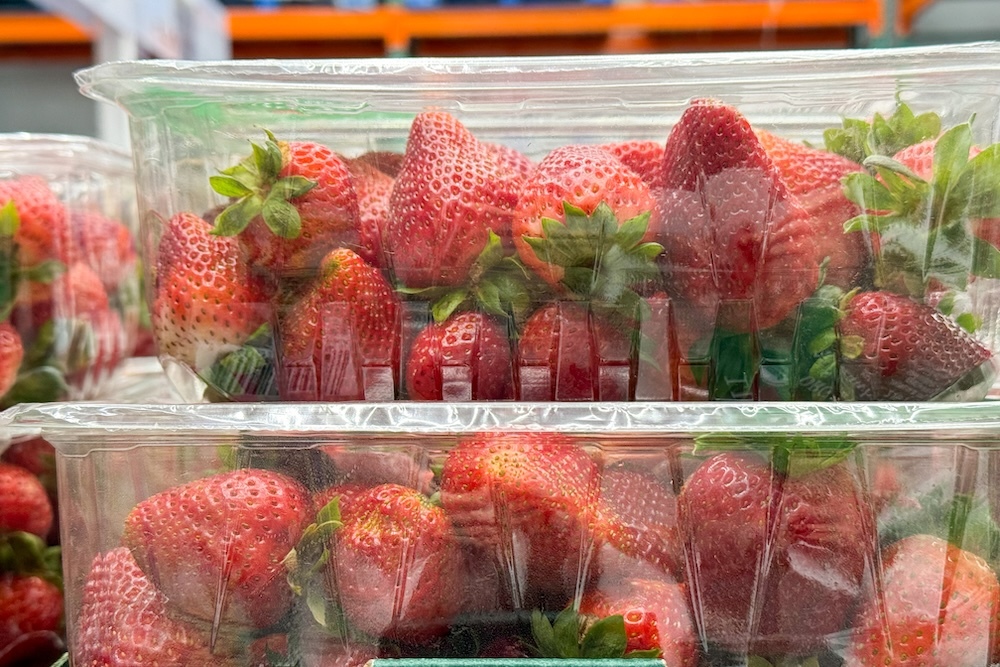 strawberries packed in plastic clear containers